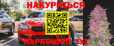 сатива Ставрополь