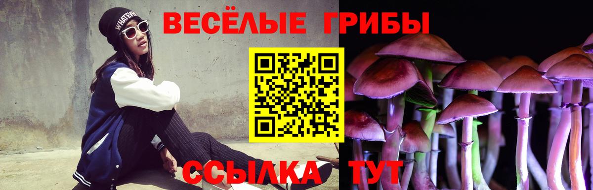 Псилоцибиновые грибы мицелий  Вход с VPN  Острогожск 